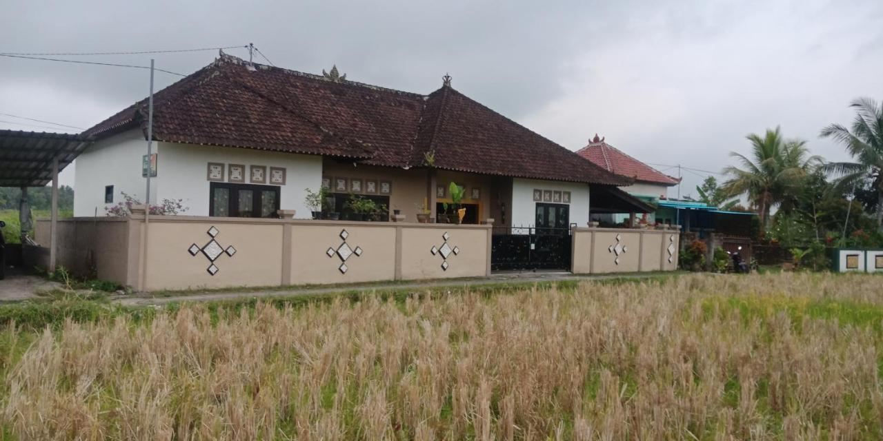 Ibu Ana Homestay Selemadeg Esterno foto