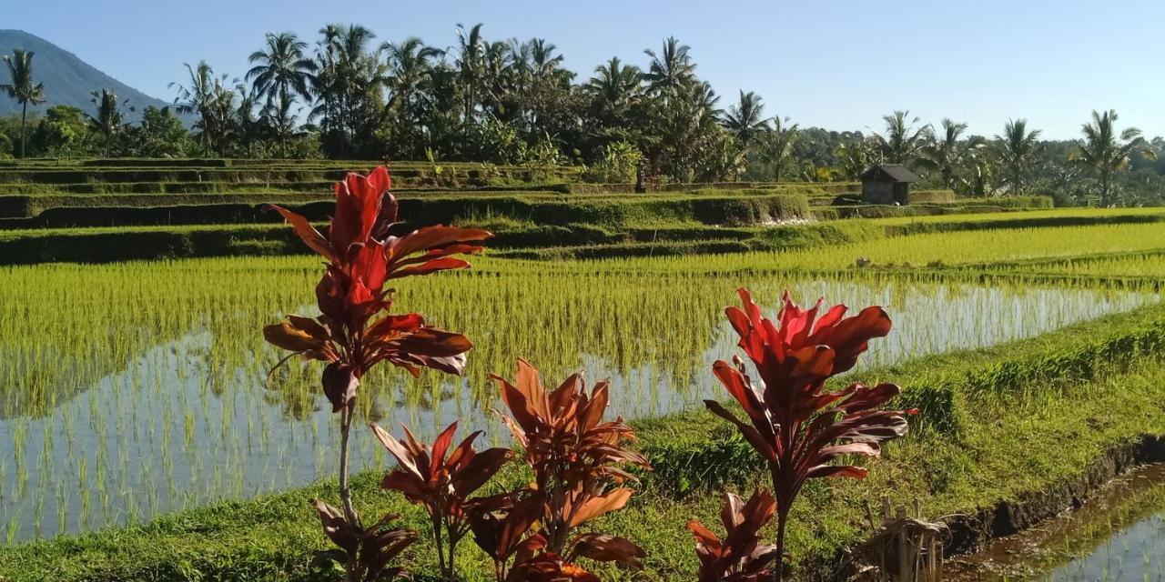 Ibu Ana Homestay Selemadeg Esterno foto