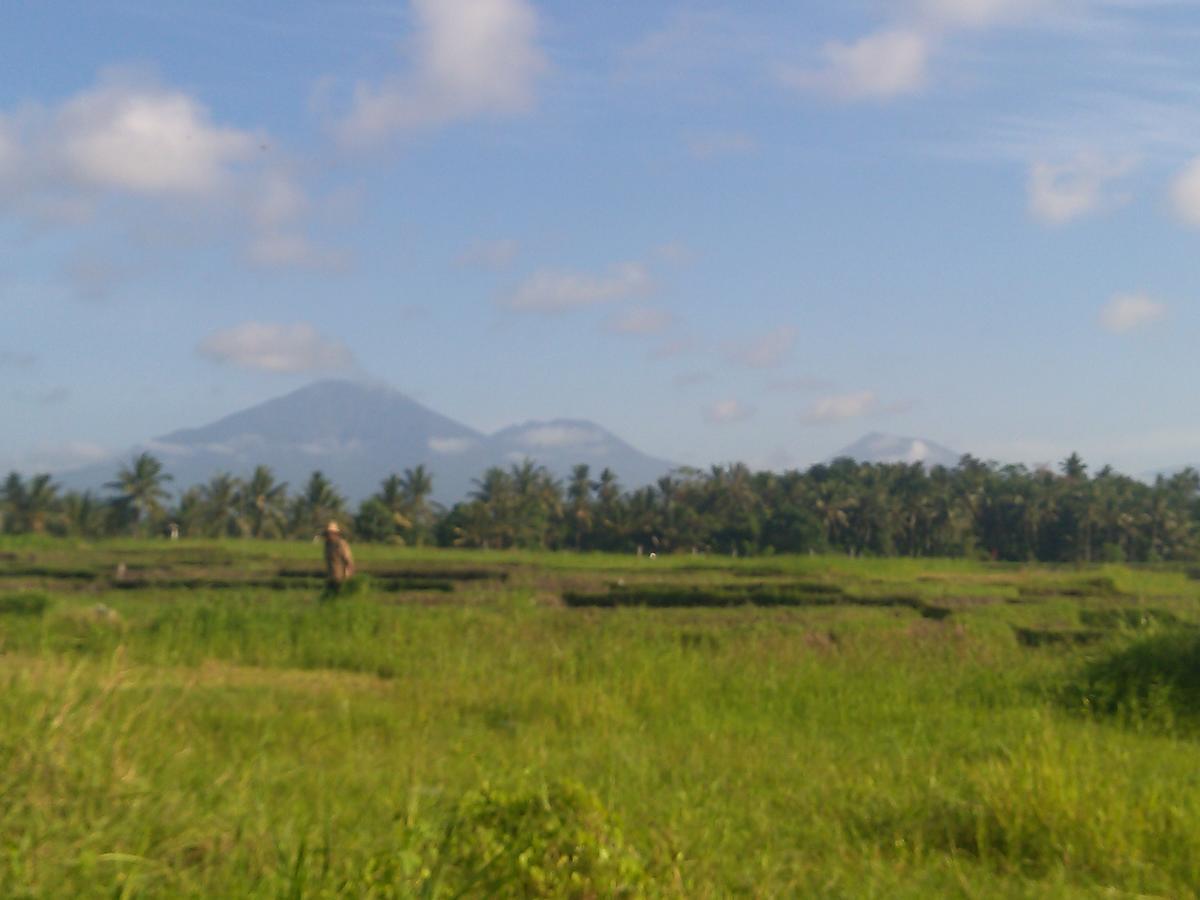 Ibu Ana Homestay Selemadeg Esterno foto